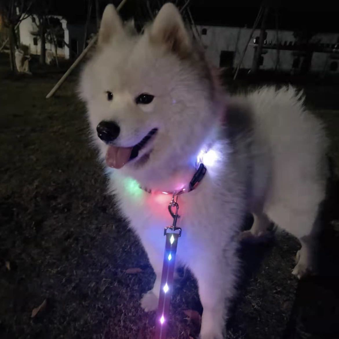 犬リード　リード 夜お散歩　安全対策　犬用リード LED 充電式 ライト 光るリード ライト 防水 事故防止_画像3