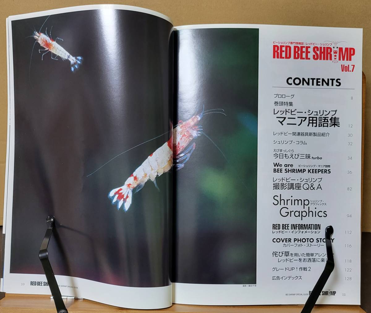 RED BEE SHRIMP red Be * shrimp vol.7 bee shrimp speciality information magazine pi- She's 