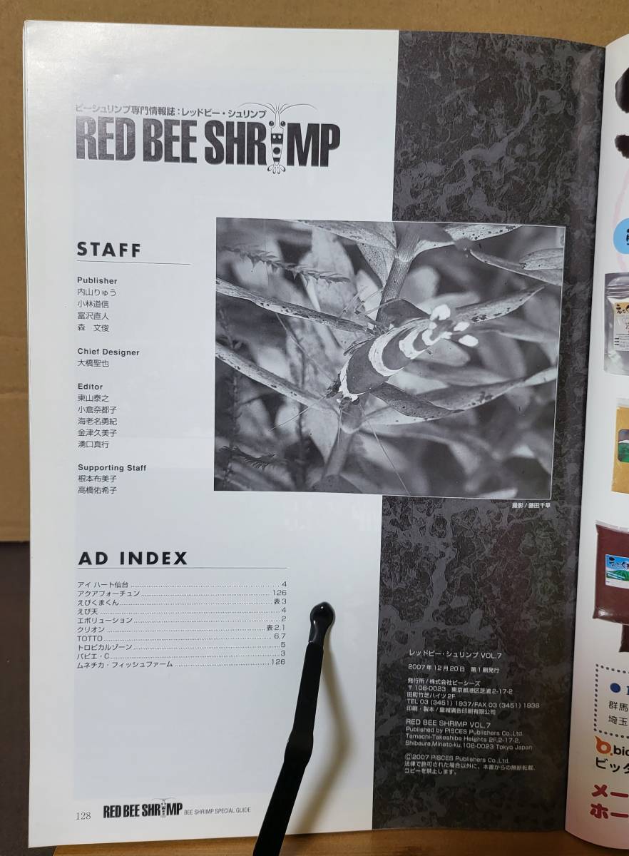 RED BEE SHRIMP red Be * shrimp vol.7 bee shrimp speciality information magazine pi- She's 