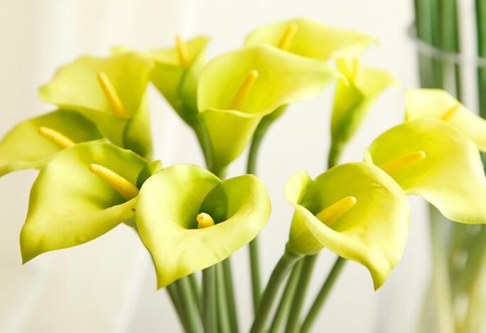 * искусственный цветок 6 шт. комплект * высококлассный Голландия kai u* высота примерно 40cm* искусственный цветок * материалы для цветочной композиции * зеленый * ручная работа 