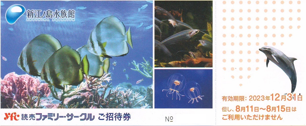 【大黒屋】新江ノ島水族館 ご招待券 １枚（５枚まで） 有効期限：2023年12月31日まで_画像1