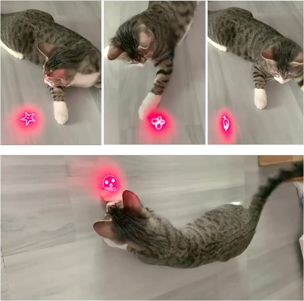 LEDポインター 猫 光るおもちゃ ペンライト 7in1ライト 収納箱付き_画像5