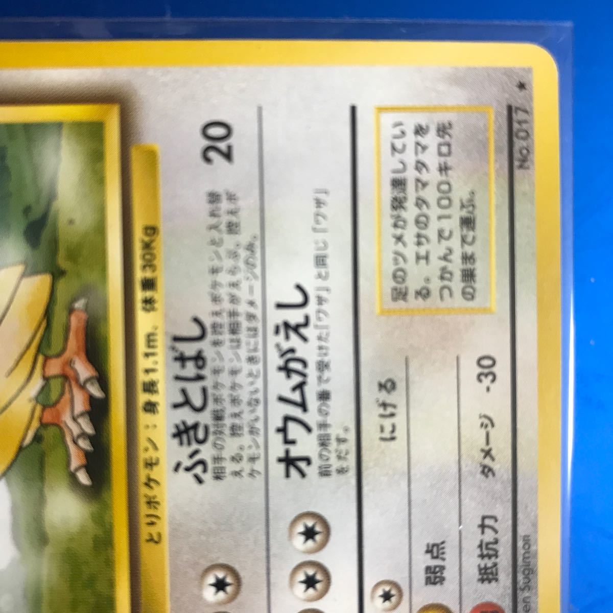 ポケモンカード　 ピジョン　初期　レア　★ 旧裏　旧裏面　美品　ポケカ　入手困難　ふきとばし　オウムがえし_画像4