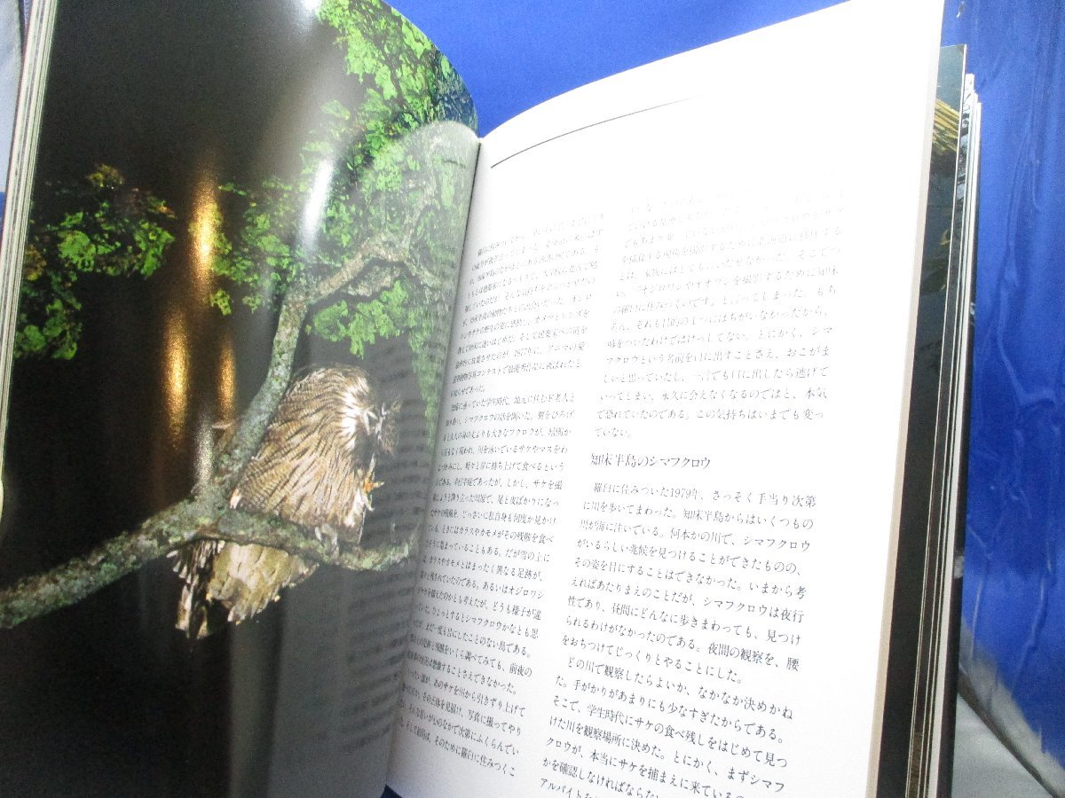 FISH-OWL　シマフクロウ　神鳥・コタンコルカムイ　写真集　平凡社　アイヌ　120104_画像9
