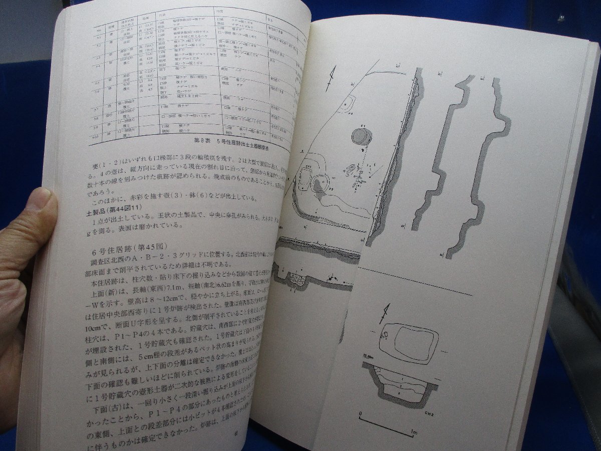 東京都板橋区 前野兎谷遺跡 板橋区前野兎谷遺跡調査会 1998/板橋区 発掘調査 報告書 旧石器 縄文 古墳 近世　/53104_画像4