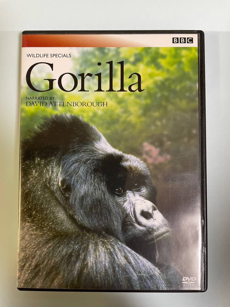 ☆BBC wildlife Specials DVD BOX + BBC wildlife Specials II DVD BOX ☆ 全13枚セット ワイルド 野生 動物 の画像7