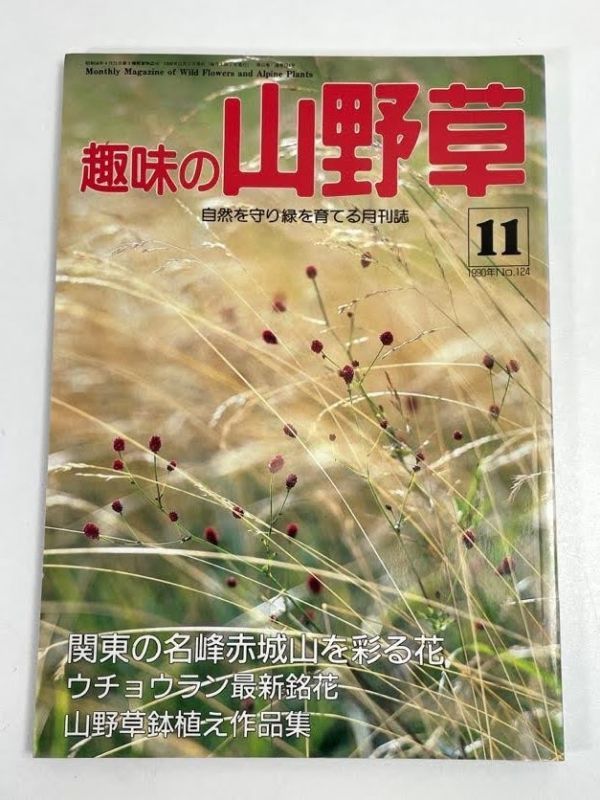 趣味の山野草　1990年　11月1日発行　ウチョウラン【H66985】_画像1