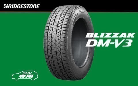 送料無料 個人宅・営業所留不可 BRIDGESTONE DM-V3 DMV3 ブリヂストン 265/55R20 109Q 新品1本価格4本総額￥147960より_*画像はイメージです