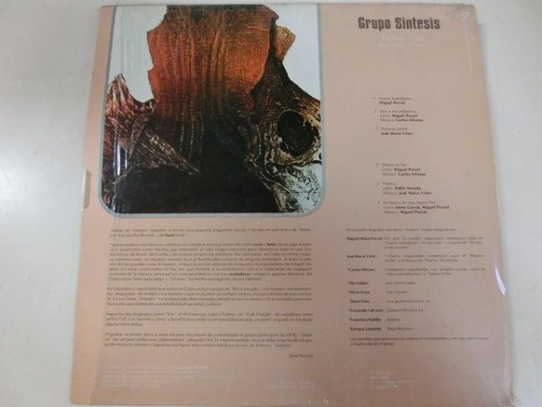 LP / Grupo Sintesis / En Busca De Una Nueva Flor / Discos NCL / NCL-LP-0035 / Mexico / 1979 / Symphonic Rock_画像2