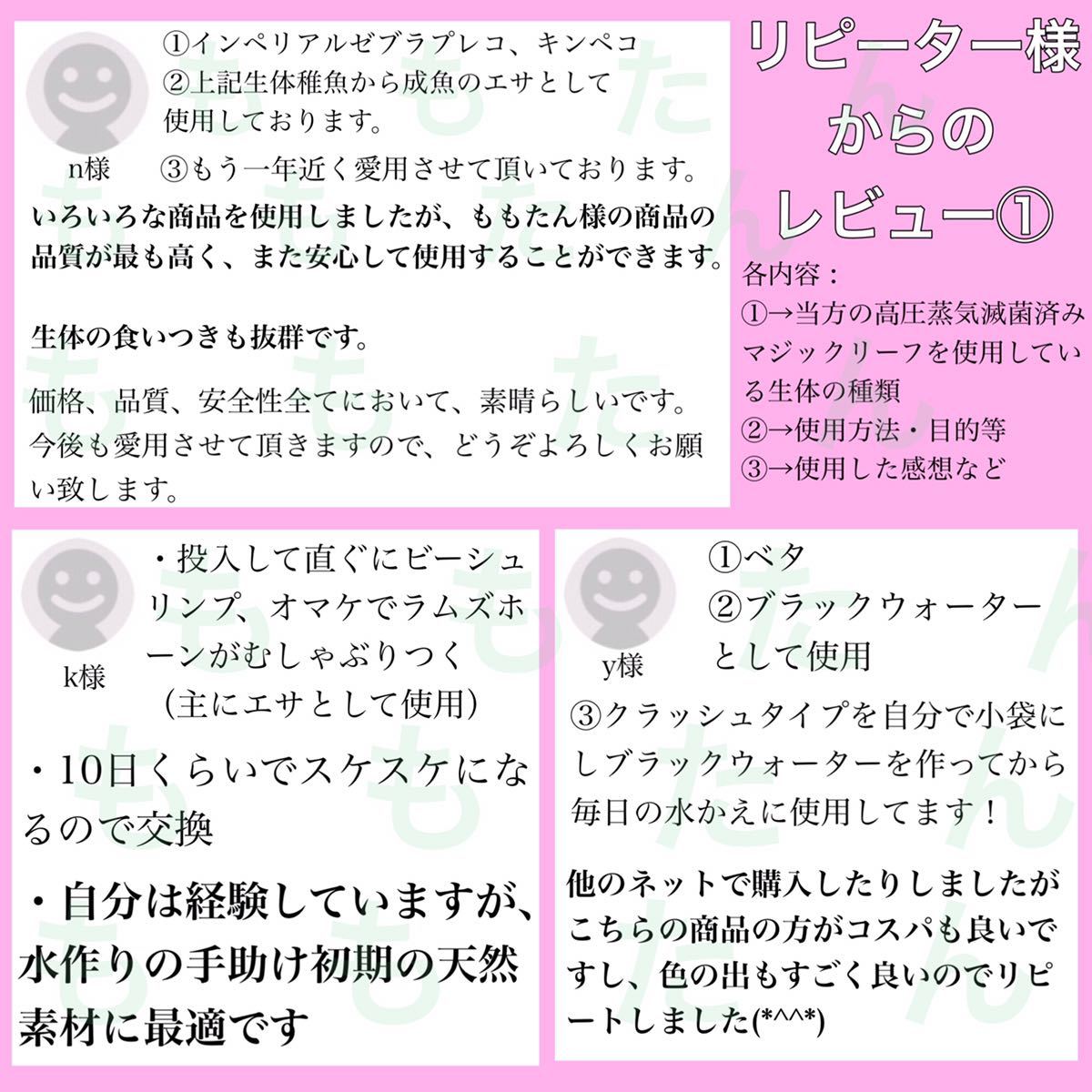 高圧蒸気滅菌済み沖縄県産無農薬マジックリーフ　半クラッシュ（破れの多い葉）500g（サイズランダム）20cm程の葉約250枚相当量_画像6