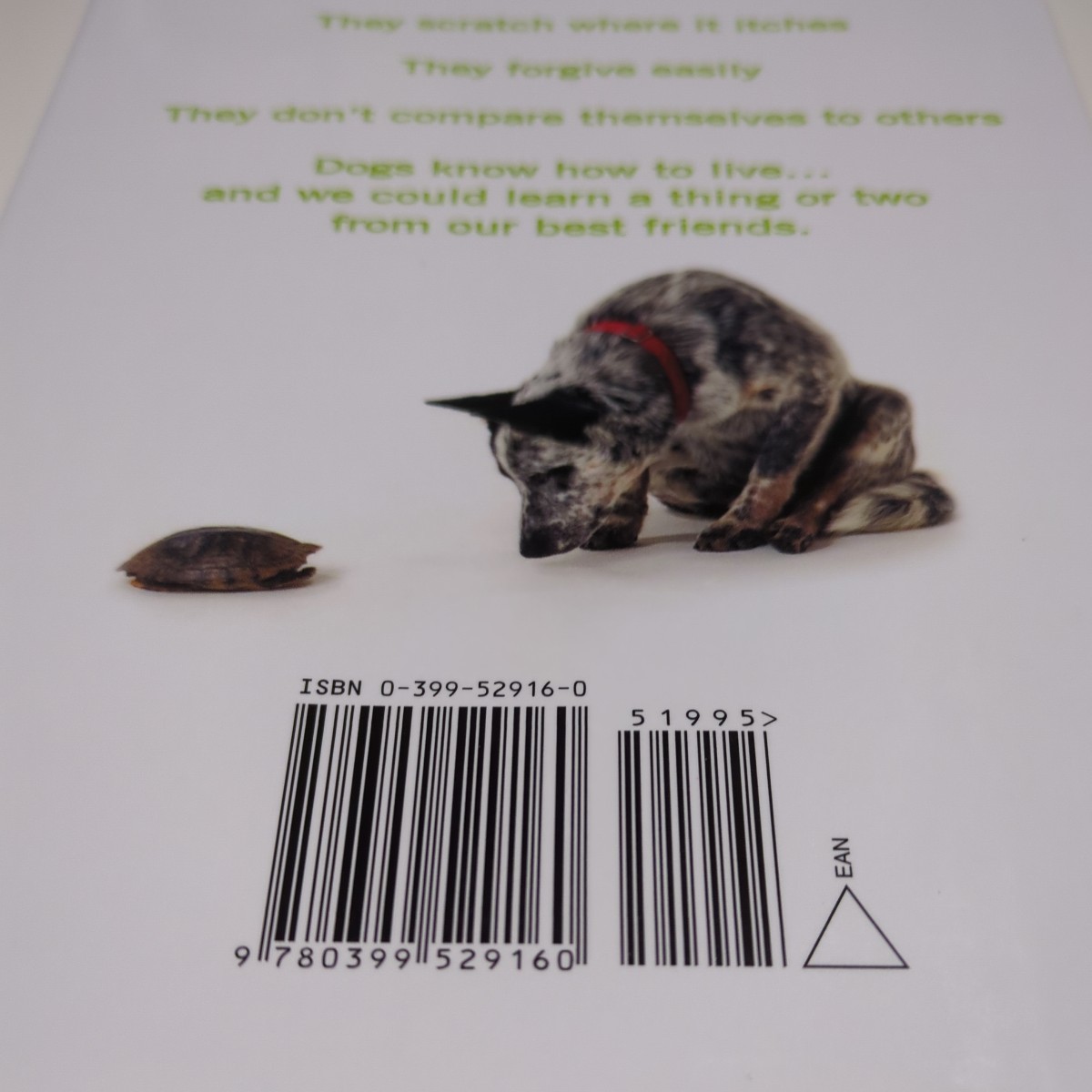 洋書 英語版 Dogs Don't Bite Matt Weinstein Luke Barber 中古 英語学習 犬 飼育