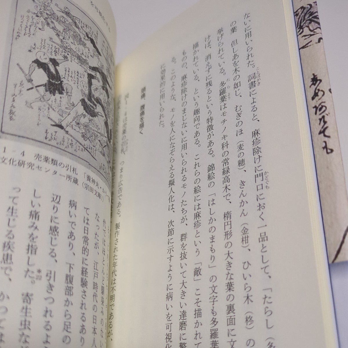 狙われた身体 病いと妖怪とジェンダー 安井眞奈美 平凡社 単行本 民俗学 中古 02201F026_画像4