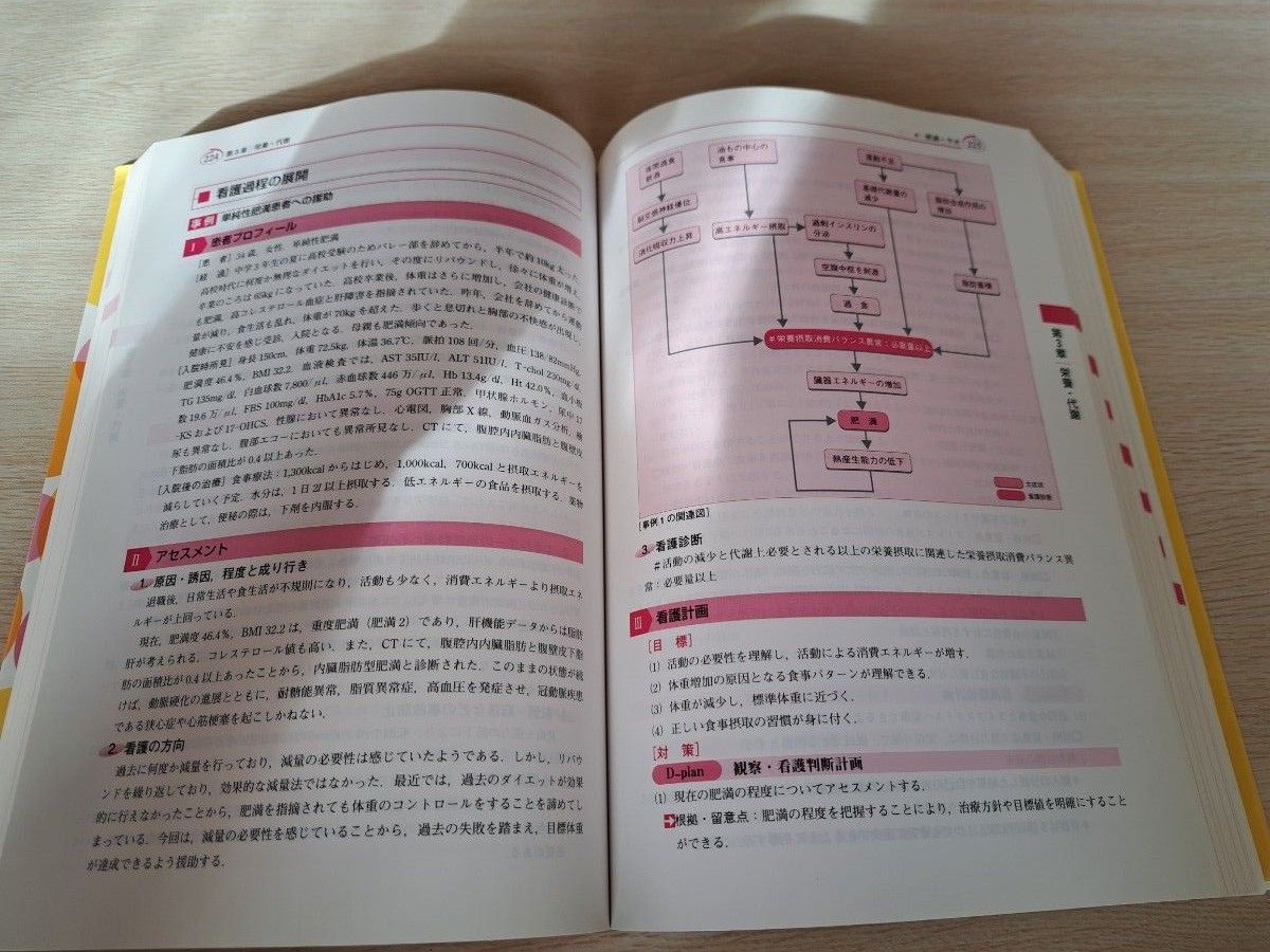 看護　看護学生　看護過程　事例展開　関連図　看護実習　医療学生　こころ　からだ　解剖生理　実習　成人　老年　精神　脳　循環　呼吸