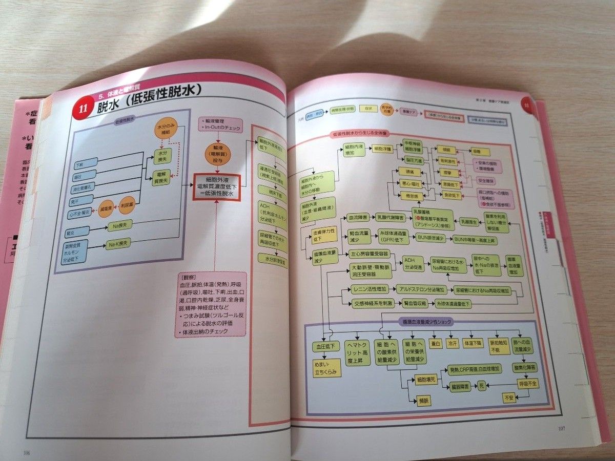 看護　看護学生　看護過程　事例展開　関連図　看護実習　医療学生　こころ　からだ　解剖生理　実習　成人　老年　精神　エビデンス　