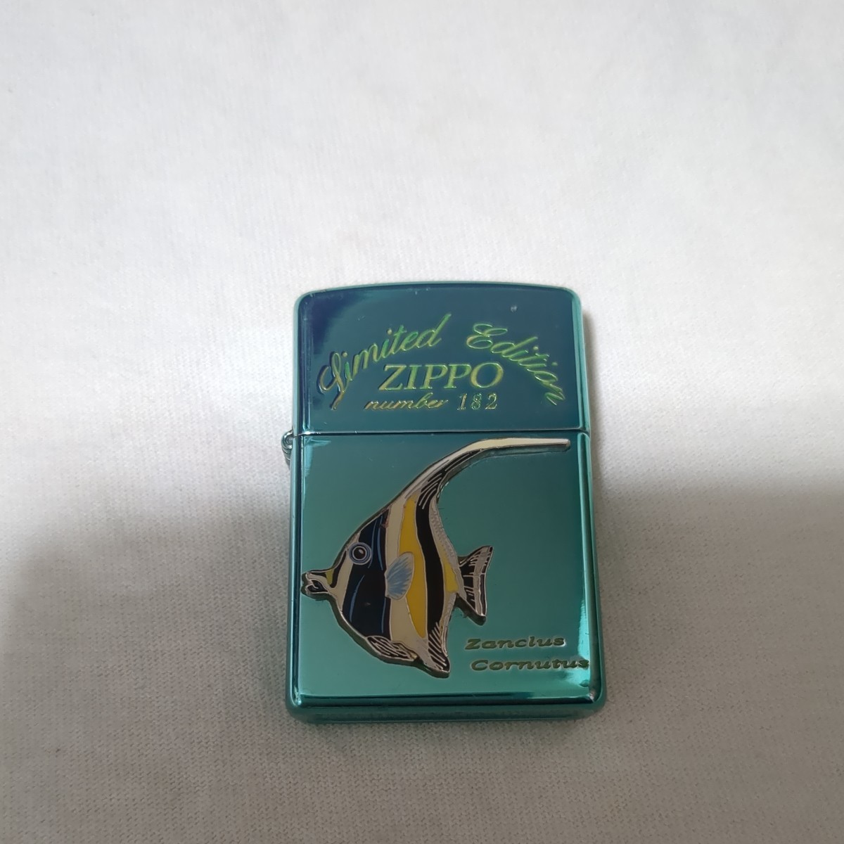 Zippo　ツノダシ　熱帯魚