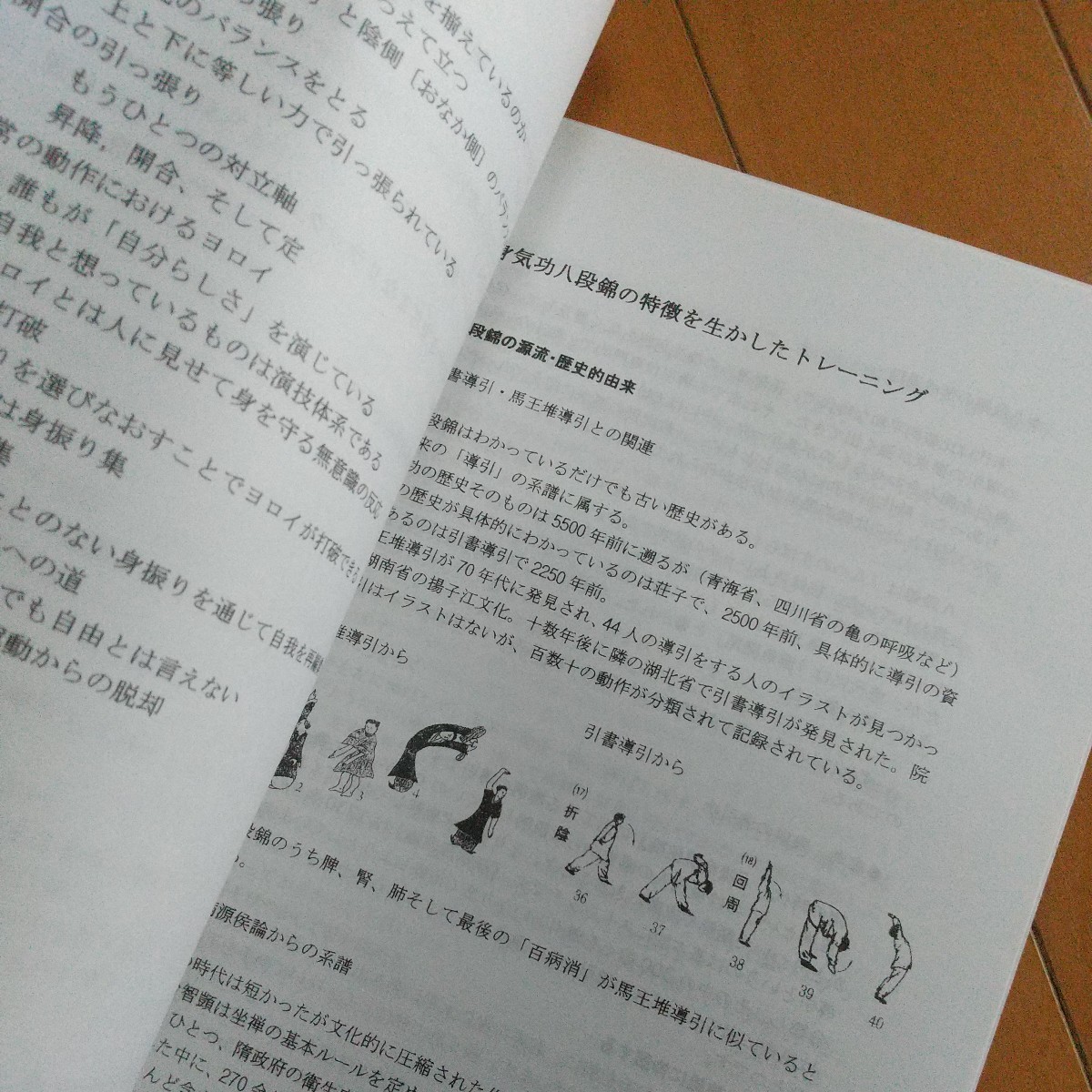 津村喬 健身気功・八段錦講義テキスト  気功 東洋医学 整体 鍼灸 武術 古武道 拳法の画像4