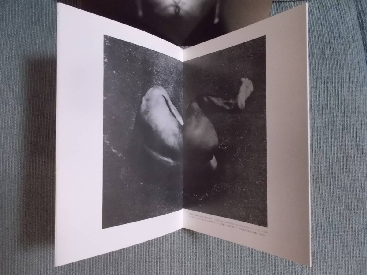 図録『土方巽+中西夏之：背面』2012 / 暗黒舞踏 ハイレッド・センター 1960年代