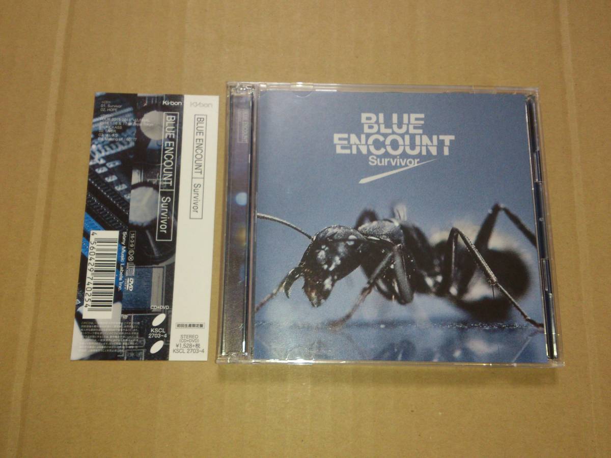 CD+DVD BLUE ENCOUNT blue en count / Survivor the first times production limitation record Mobile Suit Gundam iron .. oru fender zOP