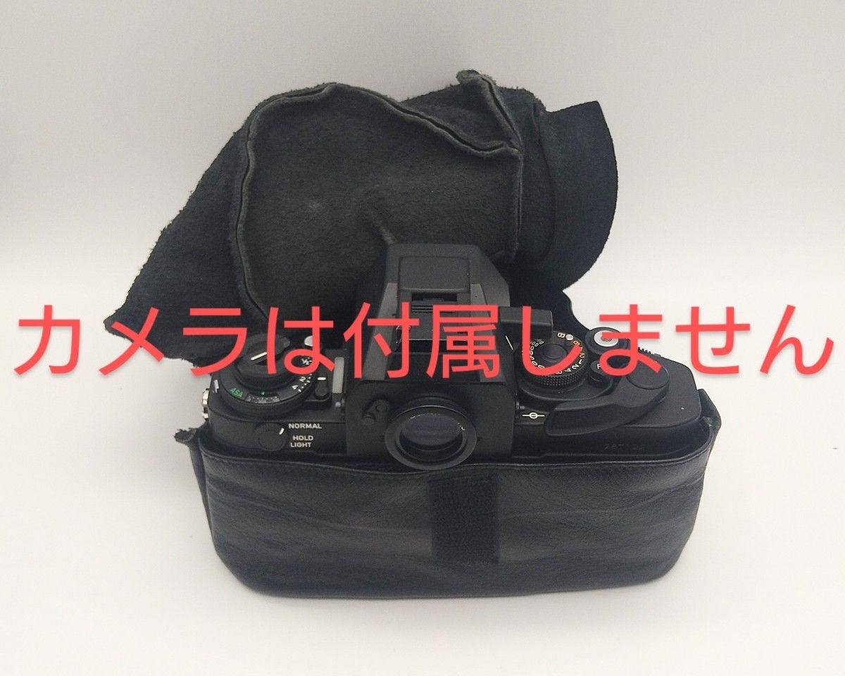 Canon CPE-AC001P キヤノン カメラソフトケース革製