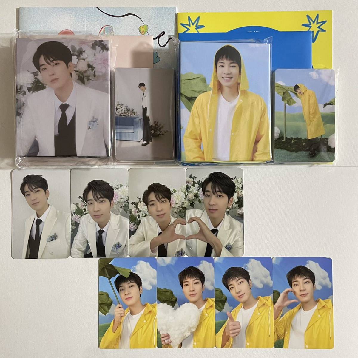 SEVENTEEN ウォヌ FML Heaven carat ver バインダー トレカ 28枚 SEVENTEEN ウォヌ FML Heaven carat ver バインダー トレカ 28枚