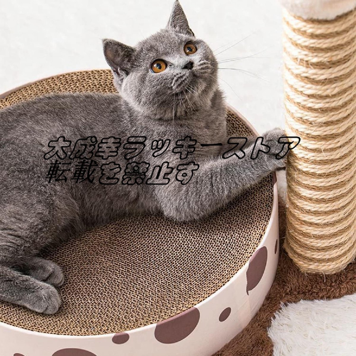 実用★ キャットタワー51cm 据え置き 猫タワー 多頭飼い 突っ張り ねこ サイザル麻で覆われた引っかき棒とサイザル麻の止まり木で 子猫_画像2