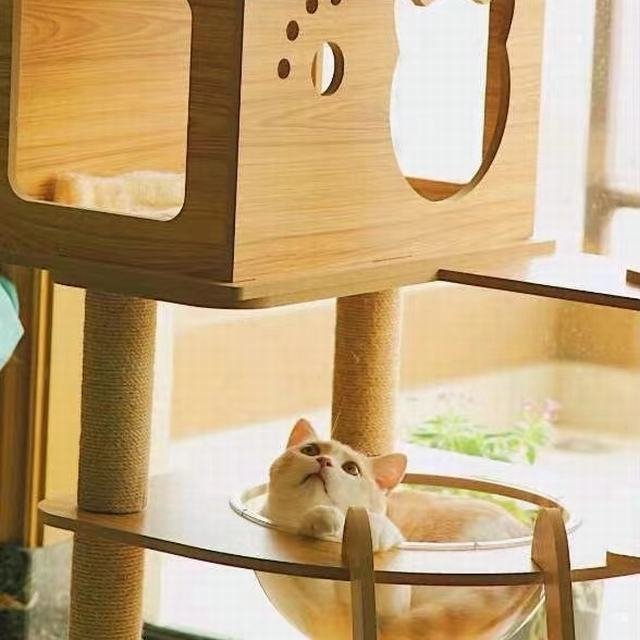  cat tower transparent space ship strong .. put wooden flax cord nail .. ball cat bed large many head .... put type nail .. cat tower nail sharpen height 135cm