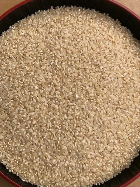 送料無料　有機肥料　新米　京都丹波産コシヒカリ　　　　玄米　２０Kｇ（１０ｋｇ袋２個） （精米可） 令和5年度産　美味しいお米　_コシヒカリ　玄米