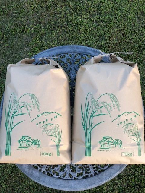 送料無料　有機肥料　新米　京都丹波産　コシヒカリ　　　　玄米　２０Kｇ（１０ｋｇ袋２個） （精米可） 令和5年度産　　美味しいお米　_画像1