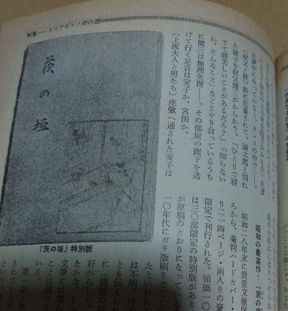 現代の眼1979年3月号 特集 性の現在 大衆幻想の実態 三枚橋精神病院 ピンク映画 和製ハードコア 平沢貞通の冤罪史_画像6