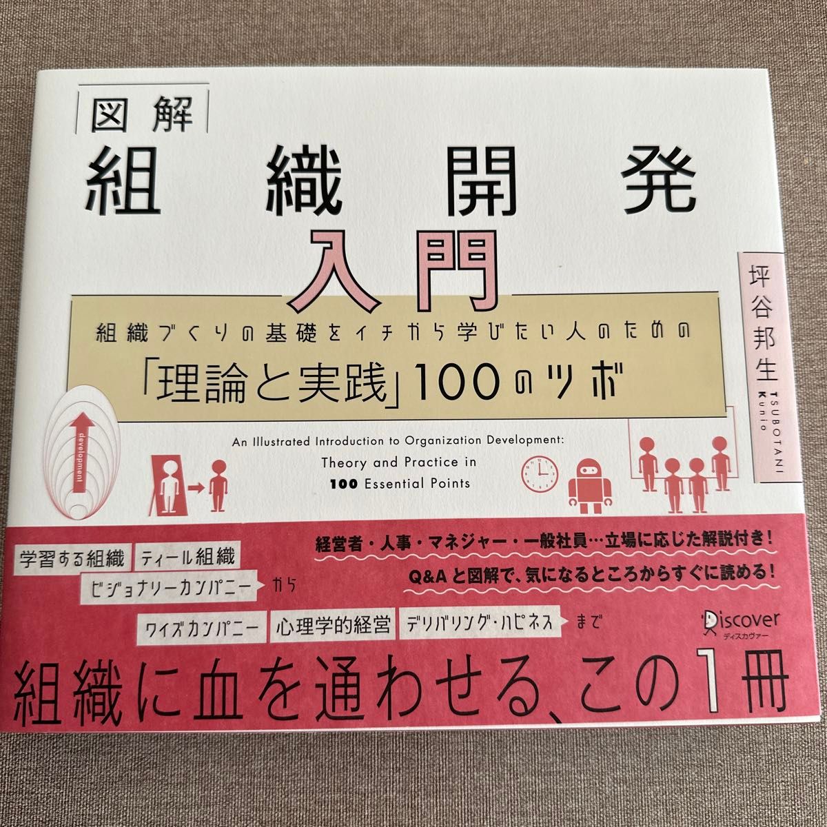 図解組織開発入門　組織づくりの基礎をイチから学びたい人のための「理論と実践」１００のツボ 坪谷邦生／〔著〕