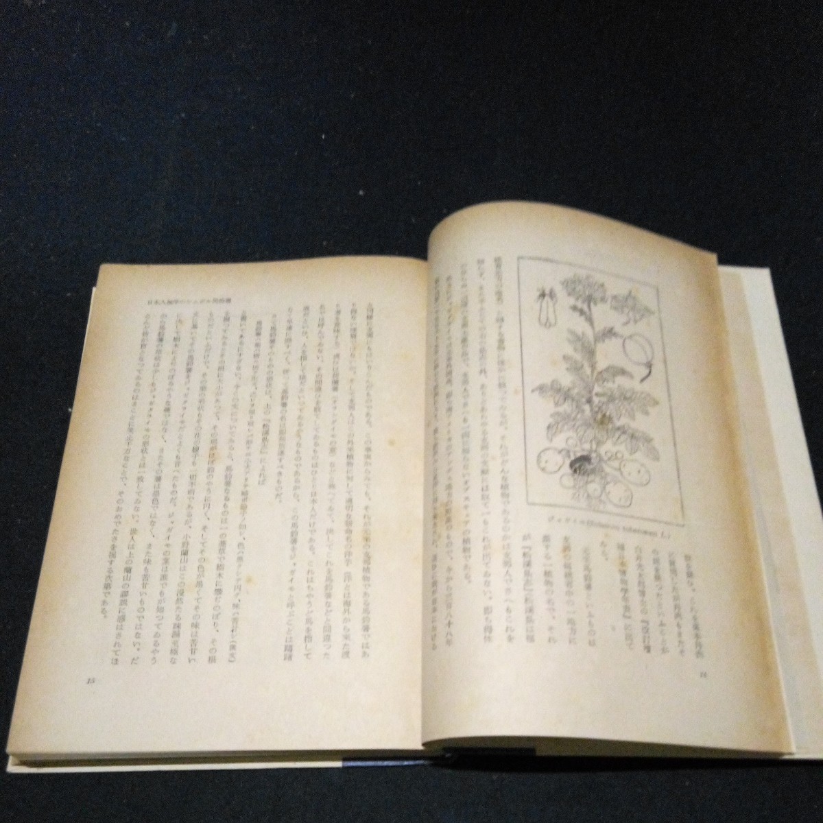  old book plant an educational institution ..... Taro [ miscellaneous writings plant one day one .] higashi foreign book pavilion Showa era 28 year issue the first version 