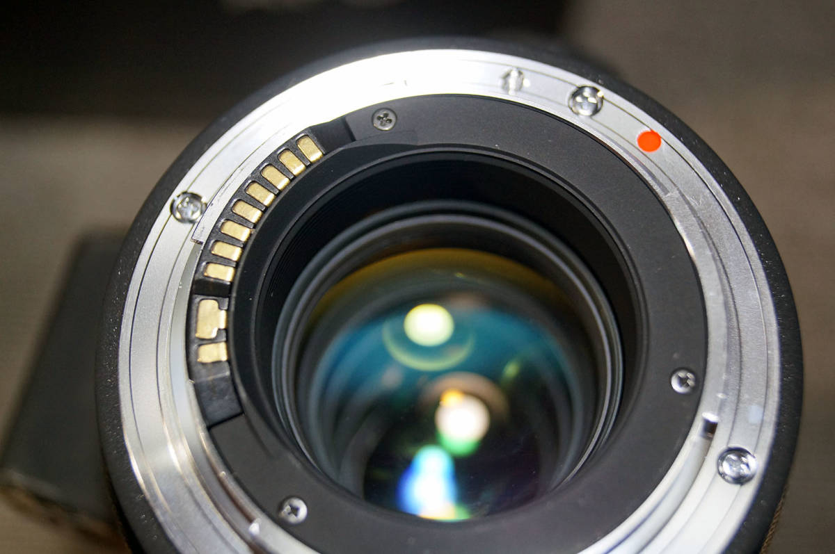 Sigma APO100-300mm F4 EX IF HSM Canon EF_画像4
