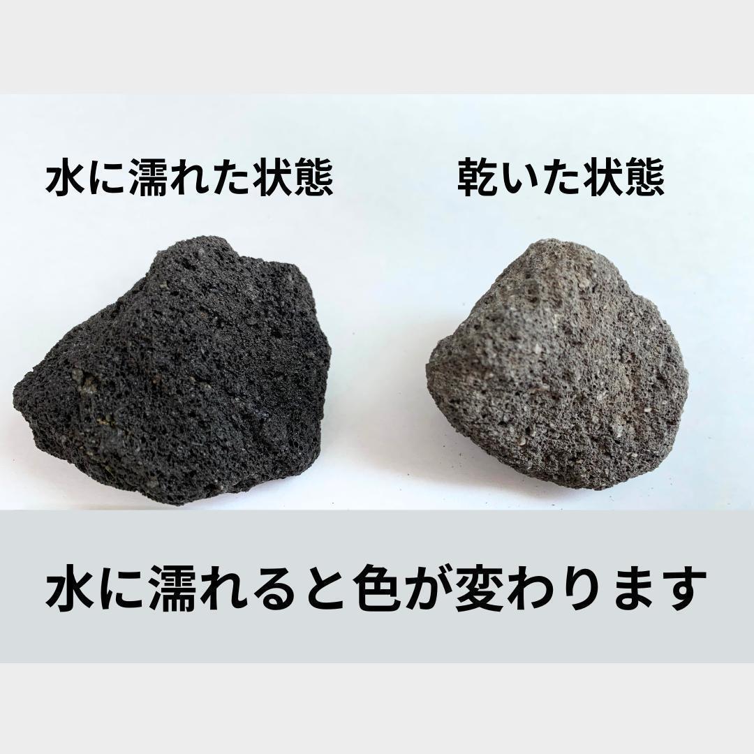 溶岩石 3個 5~10㎝ レイアウトにおすすめ アクアリウム テラリウム 苔テラリウム 水槽 インテリア ハンドメイド