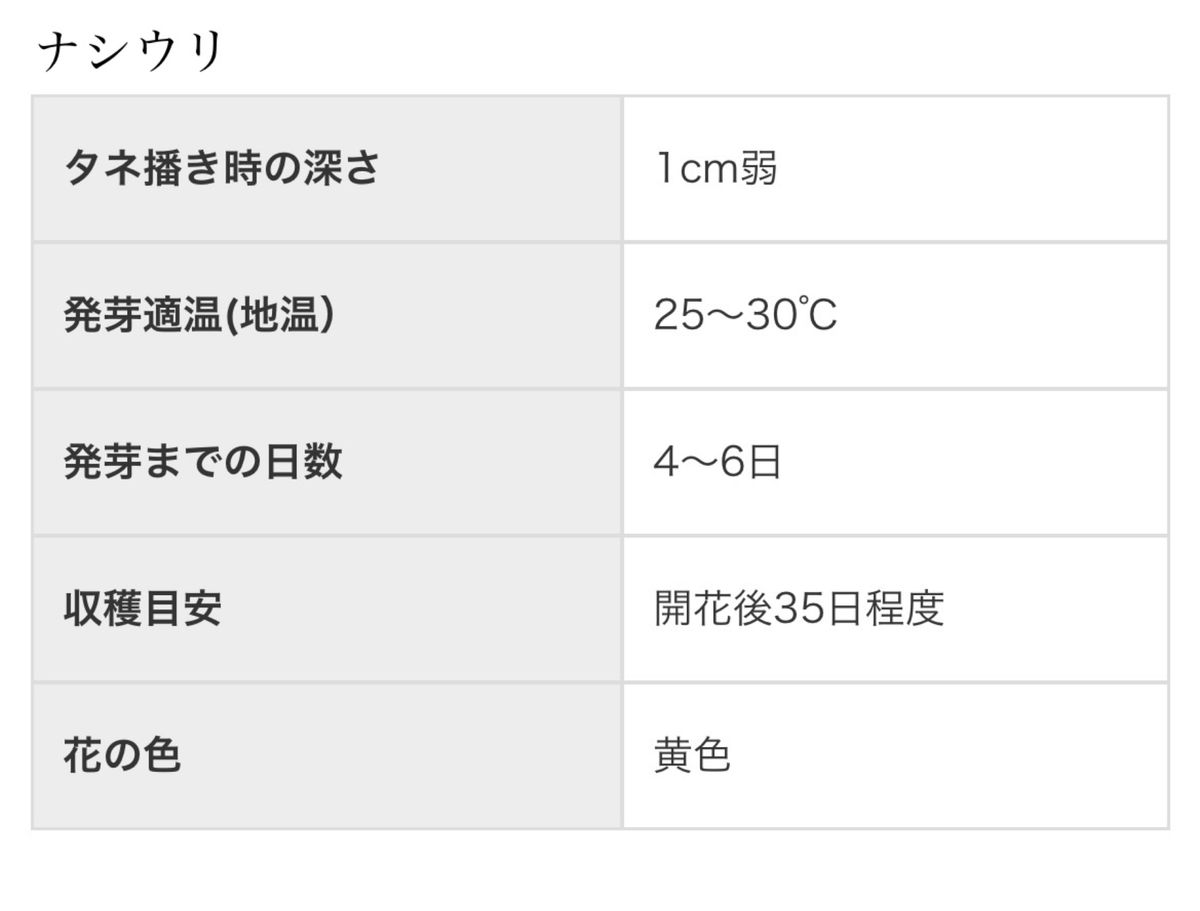 【ナシウリ(自農系)】 国内育成・採取 家庭菜園 種 瓜 野菜 果物 フルーツ