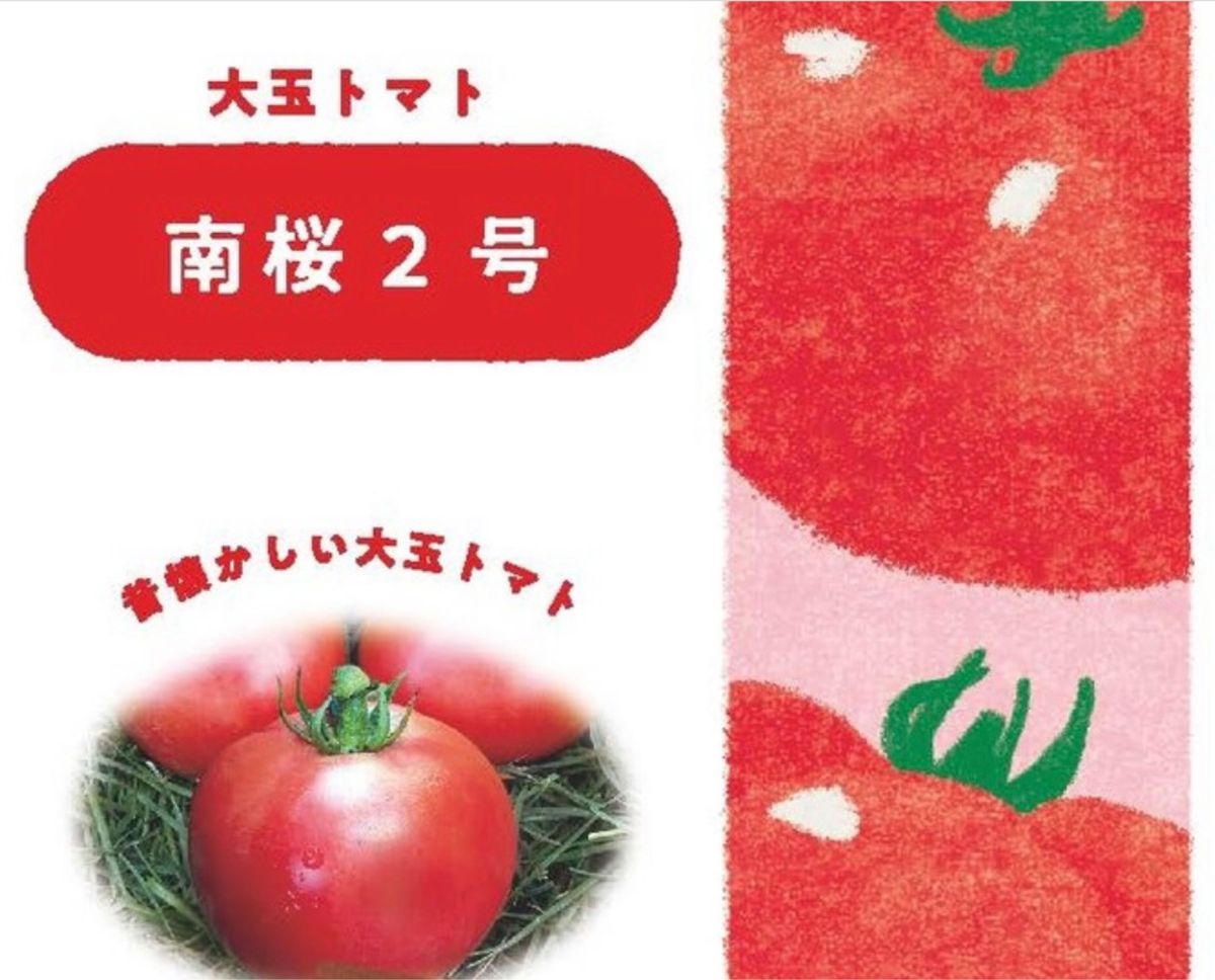 【南桜2号】  国内育成・採取 家庭菜園 種 タネ トマト 野菜