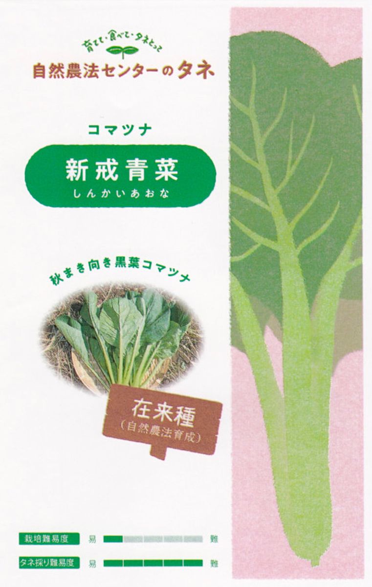 【新戒青菜(しんかいあおな)】 国内育成・採取 家庭菜園 種 野菜 小松菜