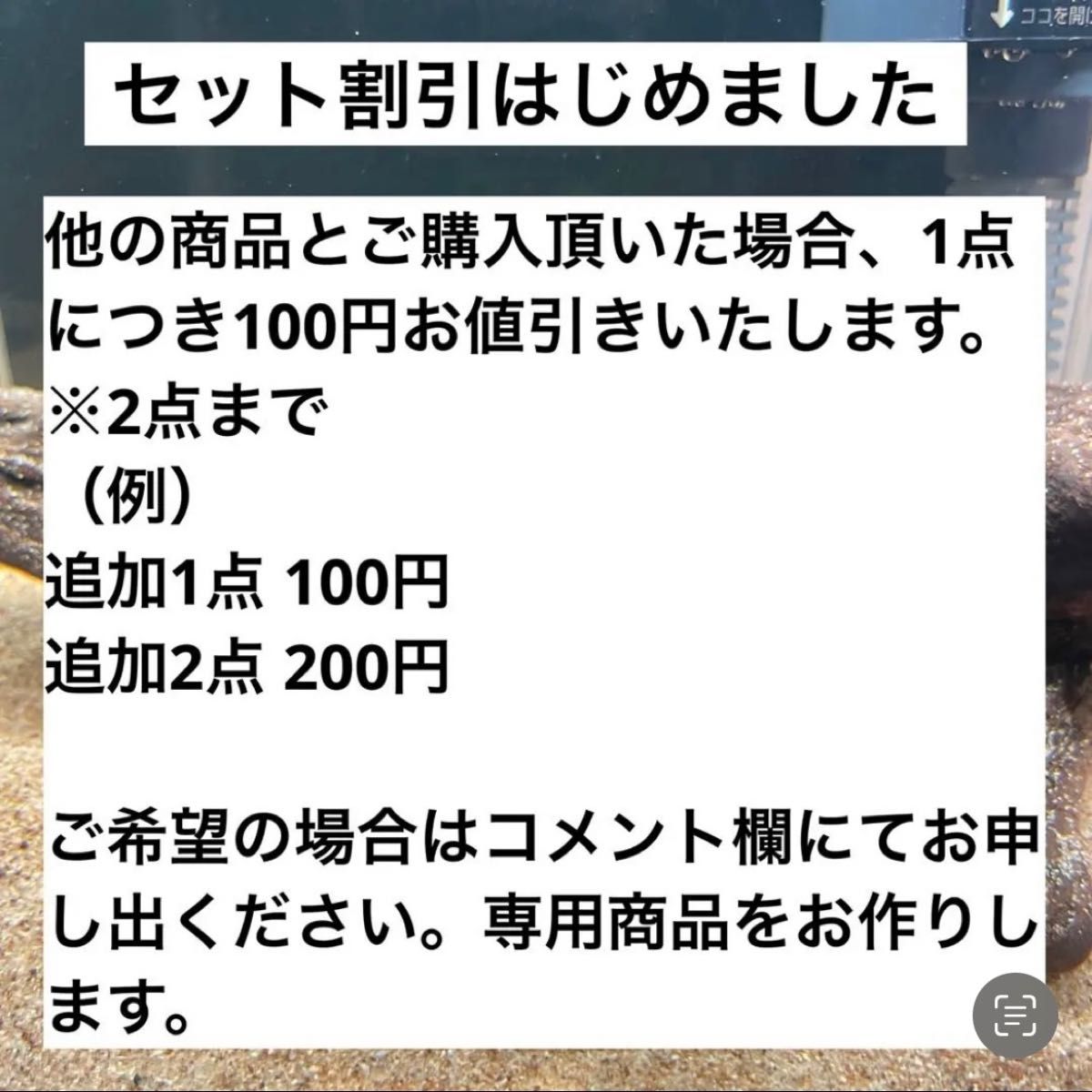 （巻きたて）ウィローモス×赤溶岩石（3cm）×3個