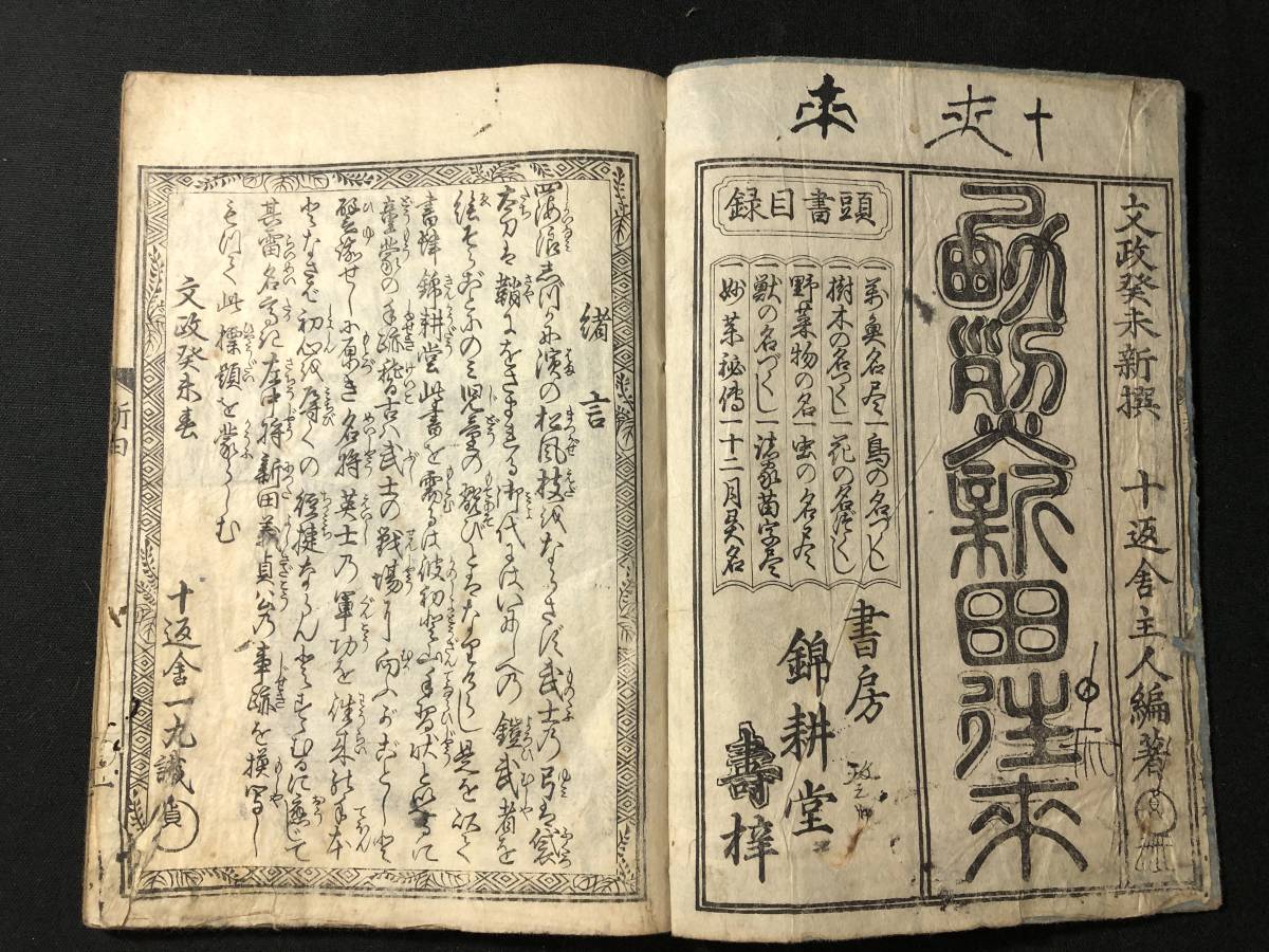 お手頃価格 2436十返舎一九! 表紙絵 彩色 □勇烈新田往来□ 絵入 国貞 国安 和書