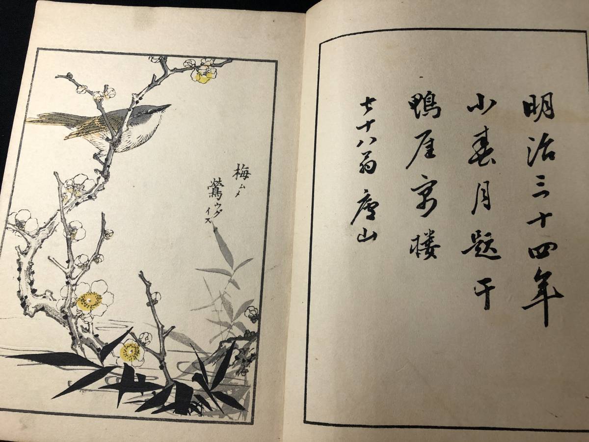 2439花鳥画 彩色木版画 絵入 絵本 金魚 朝顔ほか■小禽乃塒■ 草花 画譜 明治時代物 木版 版画 図案 和本浮世絵ukiyoe古書古文書骨董古美術_画像4