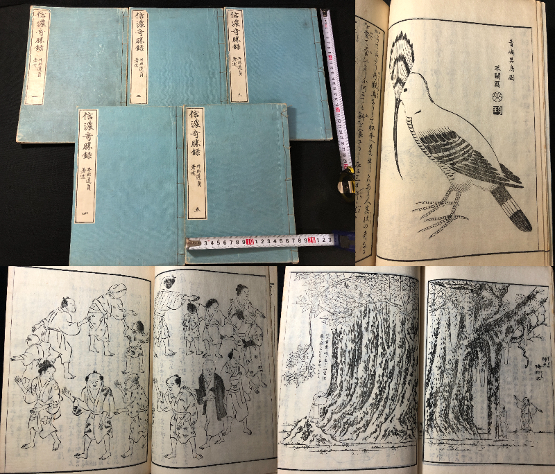 2432地誌 郷土資料 風俗 ツチノコ 花鳥画ほか 絵入 全5冊揃 2432地誌 郷土資料 風俗 ツチノコ 花鳥画ほか 絵入 全5冊揃