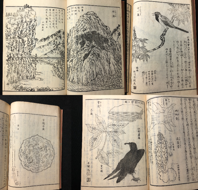 2432地誌 郷土資料 風俗 ツチノコ 花鳥画ほか 絵入 全5冊揃 2432地誌 郷土資料 風俗 ツチノコ 花鳥画ほか 絵入 全5冊揃