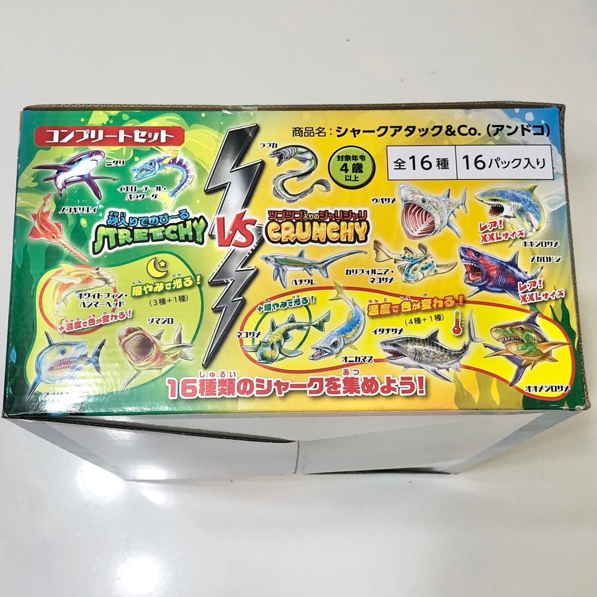 シャークアタック&CO シャークアタック アンドコー シャークアタック&CO シャークアタック アンドコー