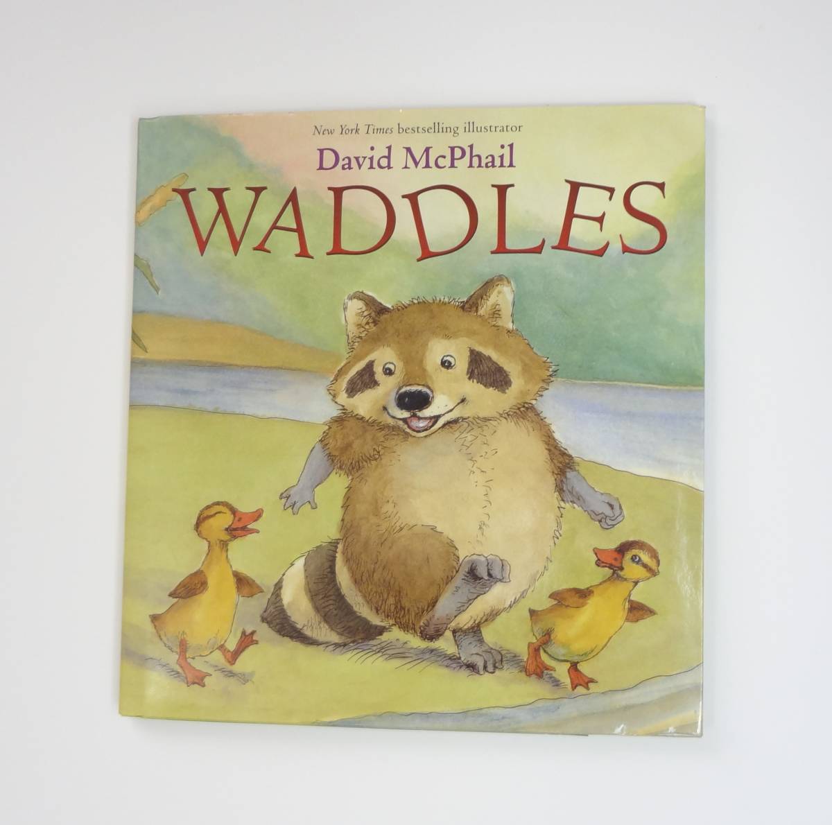 [ English ]CD attaching!* racoon * world Family *Waddles*David McPhail* foreign book picture book [A]