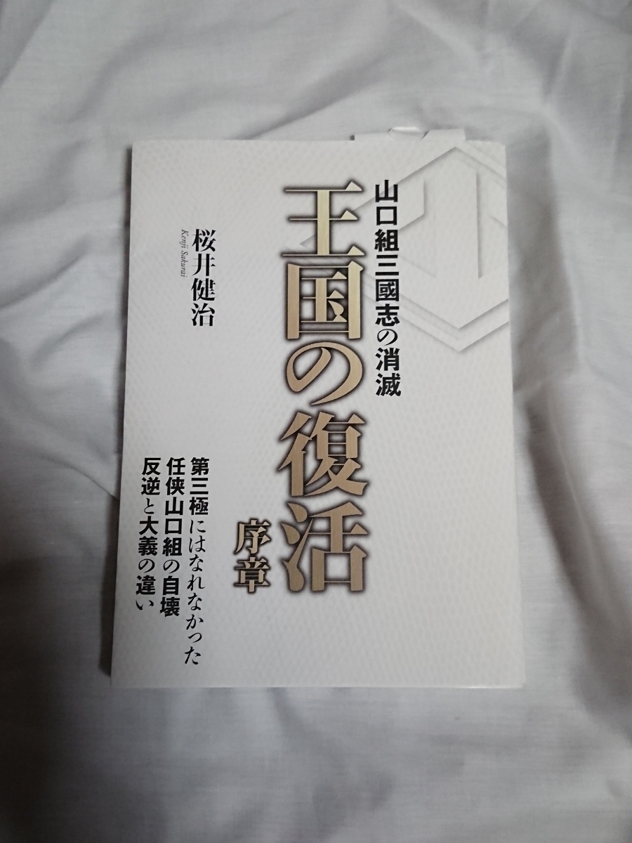 超美品 山口組三國志の消滅王国の復活序章桜井健治著六代目山口組神戸山口組任侠山口組 日本代購代bid第一推介 Funbid