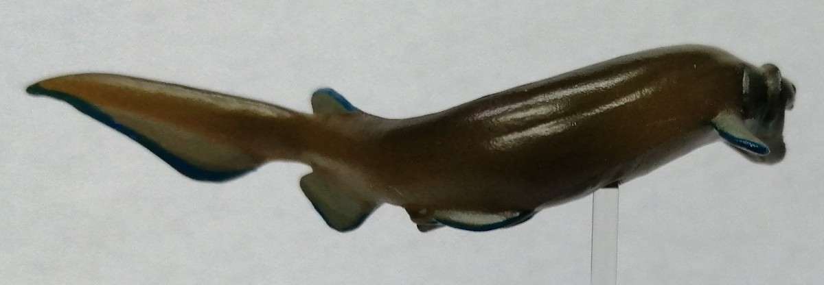 ラブカ　深海魚　鮫　サメ　FRILL SHARK　　フィギュア_画像4