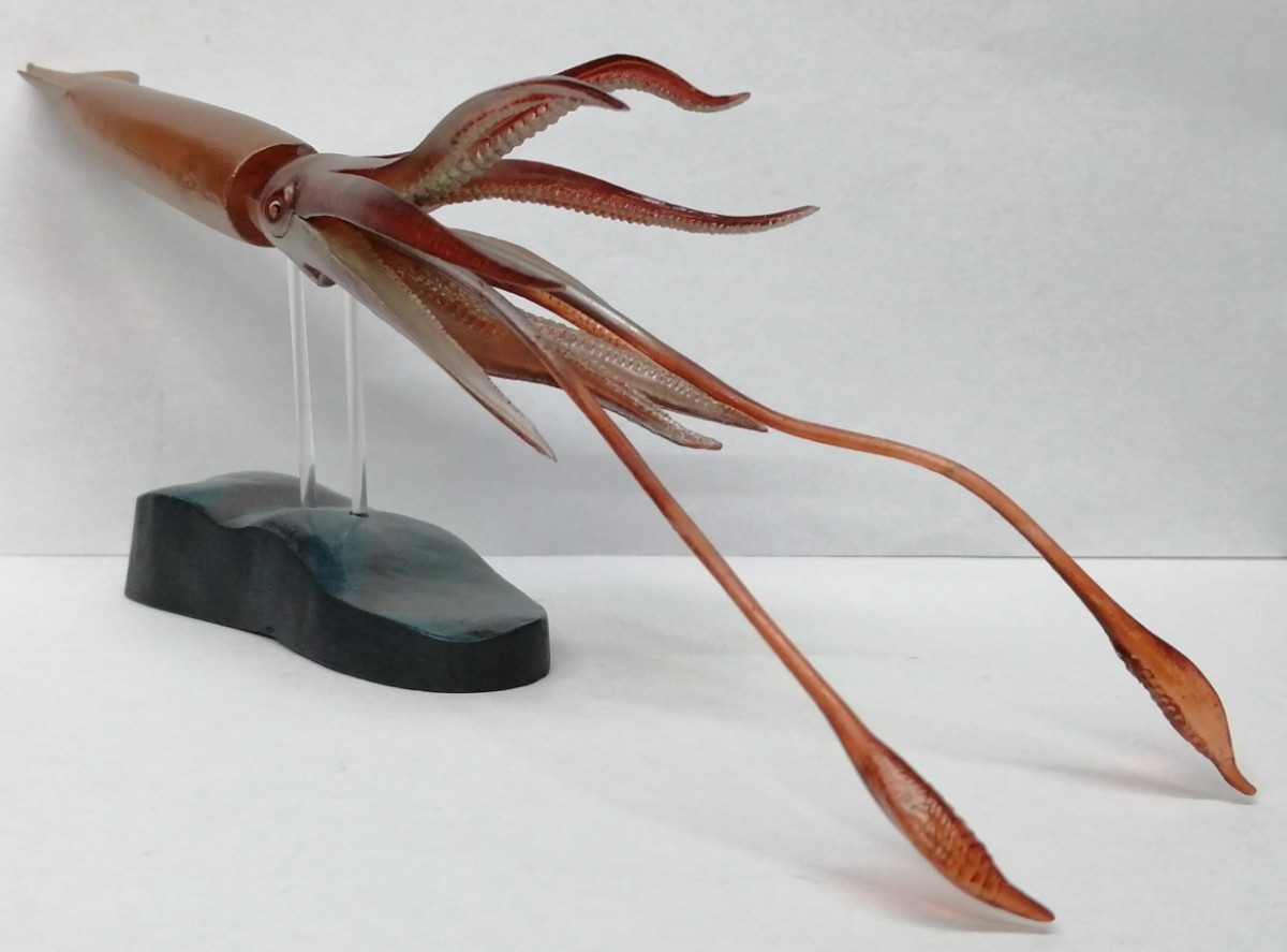 ダイオウイカ　大王烏賊　大王イカ　イカ　烏賊　GIANT SQUID　フィギュア_画像4