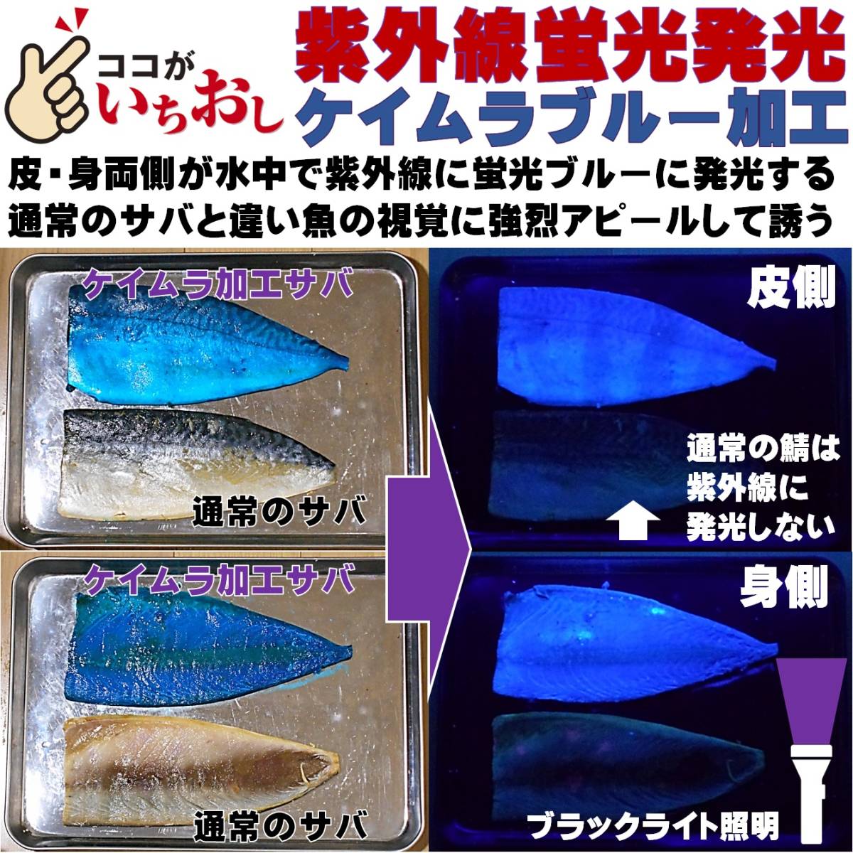 集魚剤 紫外線加工液 蛍光発光 ケイムラブルー ケイムラピンク 190ml２色組 食紅 ピンク 冷凍 オキアミ 海上釣堀 エサ 冷凍イワシ アミエビ_画像6