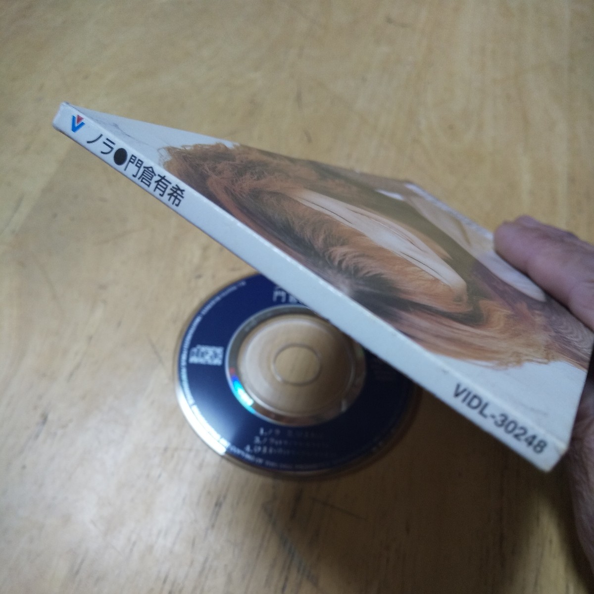#8cmCD【ノラ／ひまわり／門倉有希】1998年　送料無料、返金保証_画像2