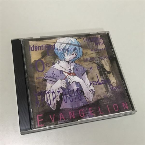 Z10384 * Evangelion collectors disk Vol 6 Windows PC soft 