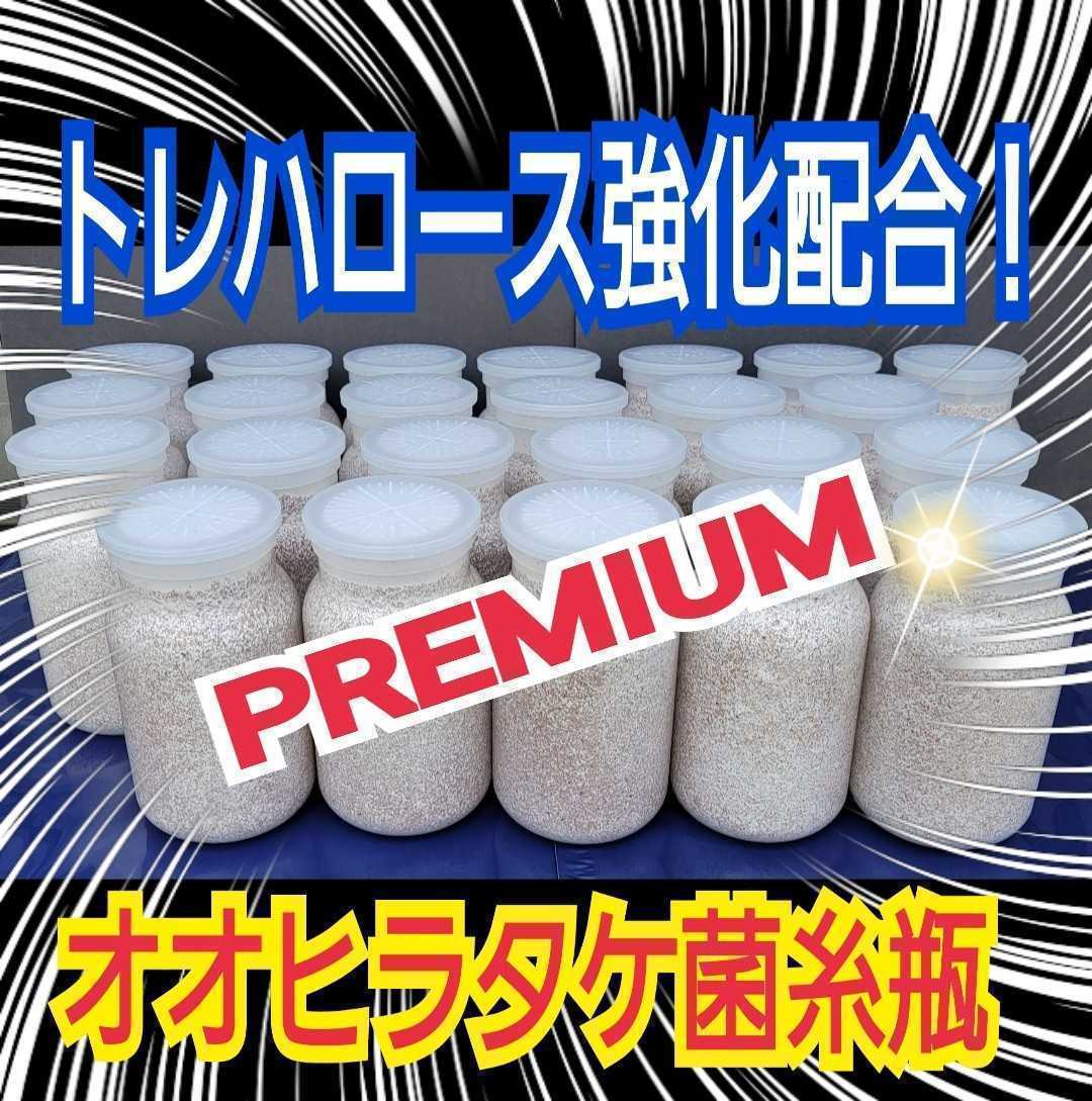 極上☆オオヒラタケ菌糸瓶【4本】トレハロース、ローヤルゼリー、アルギニン強化配合！クヌギ生オガ100％原料！国産オオクワ85㎜羽化実績_画像3